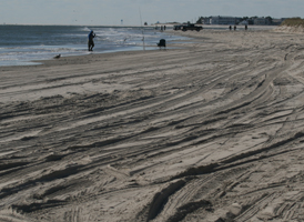 Sandy Beaches