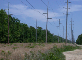 Powerline Cuts