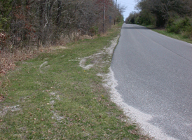 Rural Roadsides