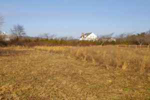 Fields Fields
